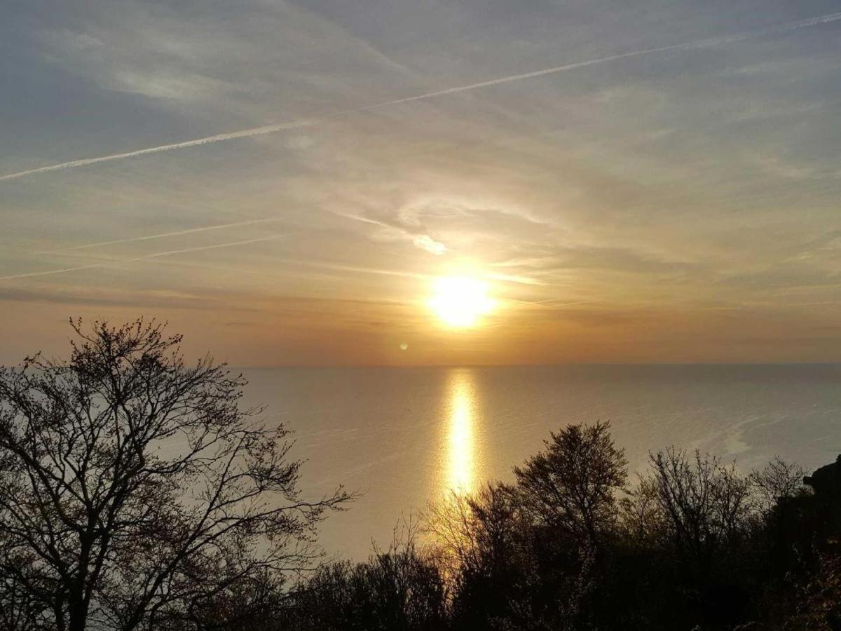 ホテル Babbacombe Palms トーキー エクステリア 写真