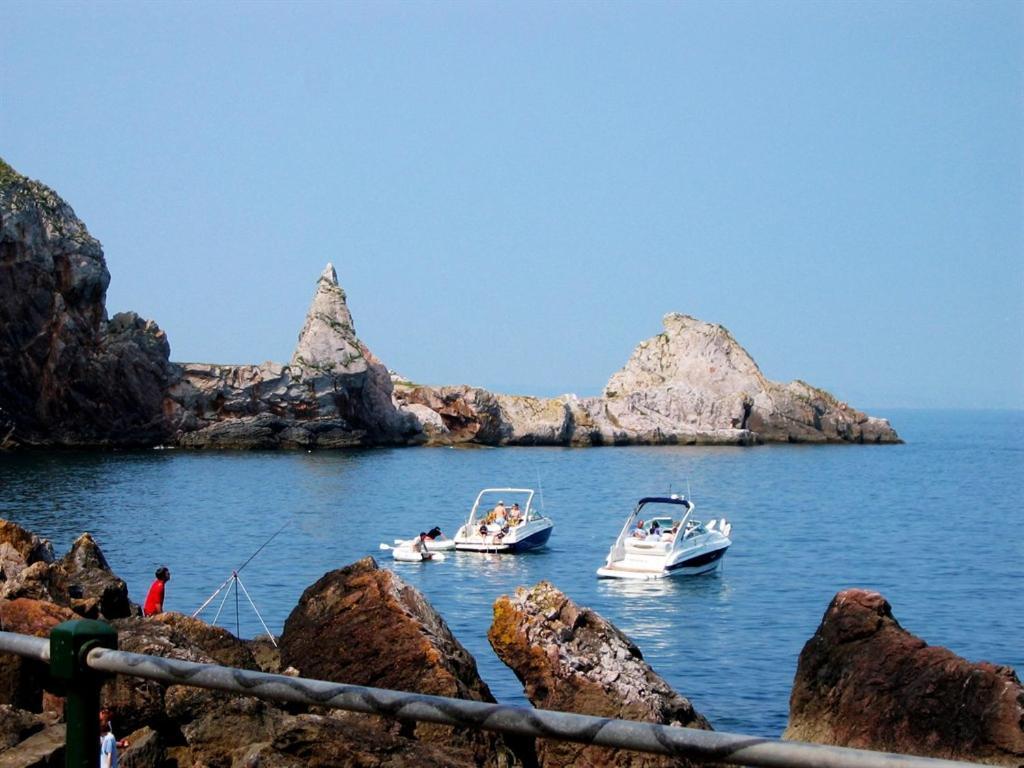 ホテル Babbacombe Palms トーキー エクステリア 写真